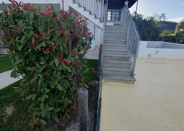 Guido Бари-Сардо